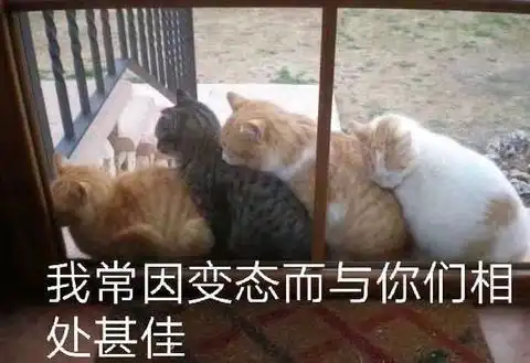 喷饭表情标哈哈哈哈这些图片真滴搞笑有人再更