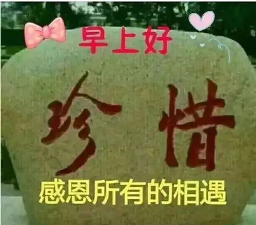 不用打字就可以聊天的图片