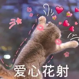 你p图也太假了吧和闺蜜私人群聊天,截图不小心手滑发到了直男大群...