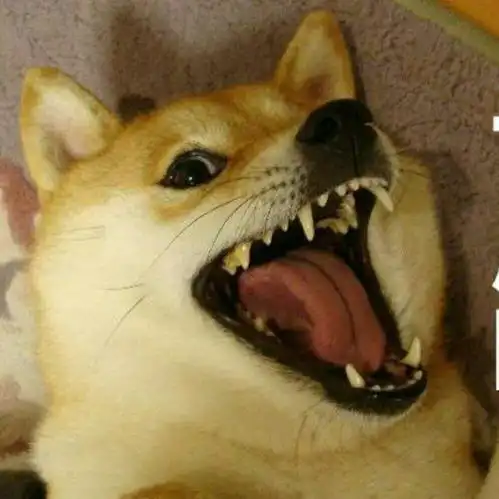 测试一个超长简介的文章