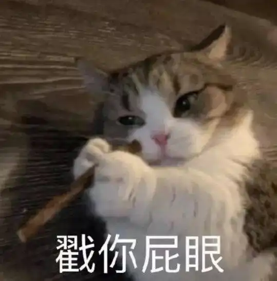 猫咪表情包感觉收藏起来别输在起跑线