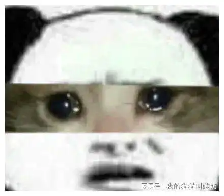 比王宝钏更恋爱脑的女人,她养了不上班的老公12年