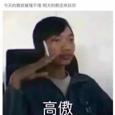 养各种动物动图表情包养鸡表情包斗图表情