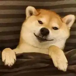 如何啪的时候更快乐