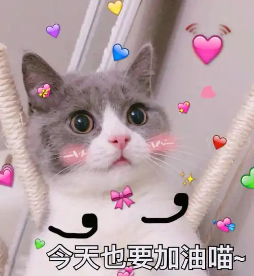 我们都在用真心说着谎话