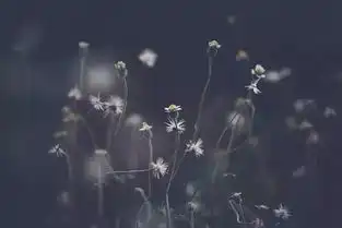 人品好的人,自带光芒
