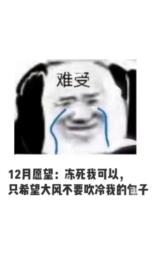 冻死我可以,只希望大风不要吹冷我的包子朋友圈背景图表情包