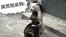 法驴台湾网红爷爷离世,爱情故事曾感动亿万网友