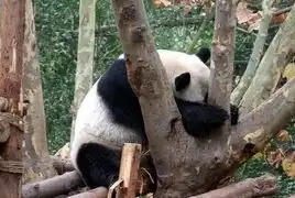 超搞笑的趣味图片袭来