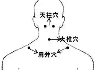 经络膀胱经多重要,没事常按揉