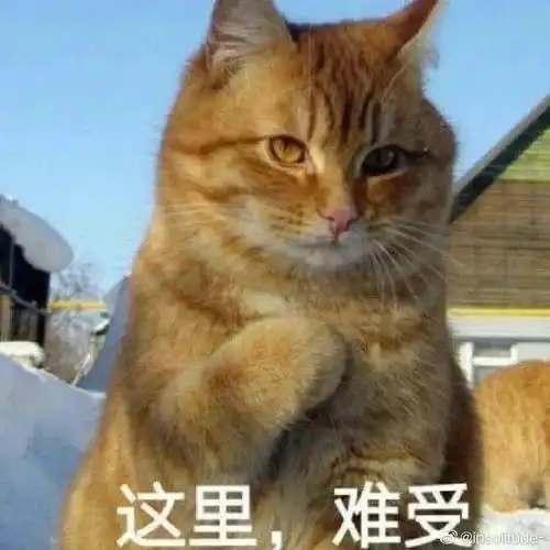 考虑再三决定不买了想买苹果13,值不值得用一个月的工资买