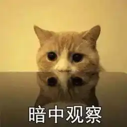 发完这个表情包,以后漂流瓶联系吧