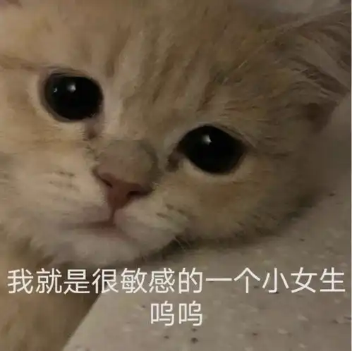忍住不联系一个人的感觉就像戒断反应