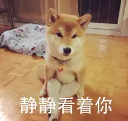 表情包柴犬