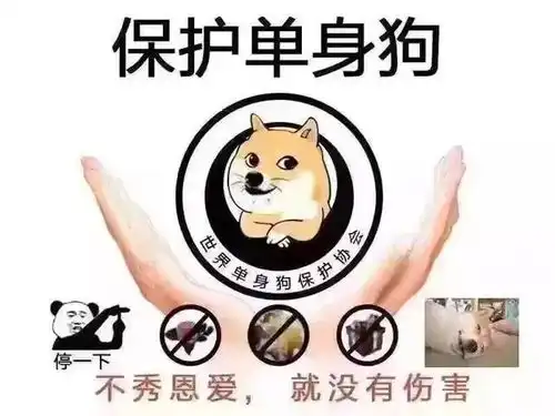 情人节这样发,笑翻朋友圈祝大家情人节快乐,有对象的除外