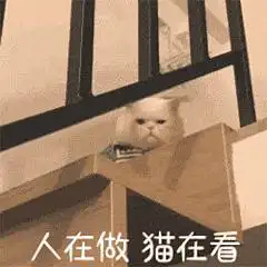 一个kwpp对kwp的观察实录