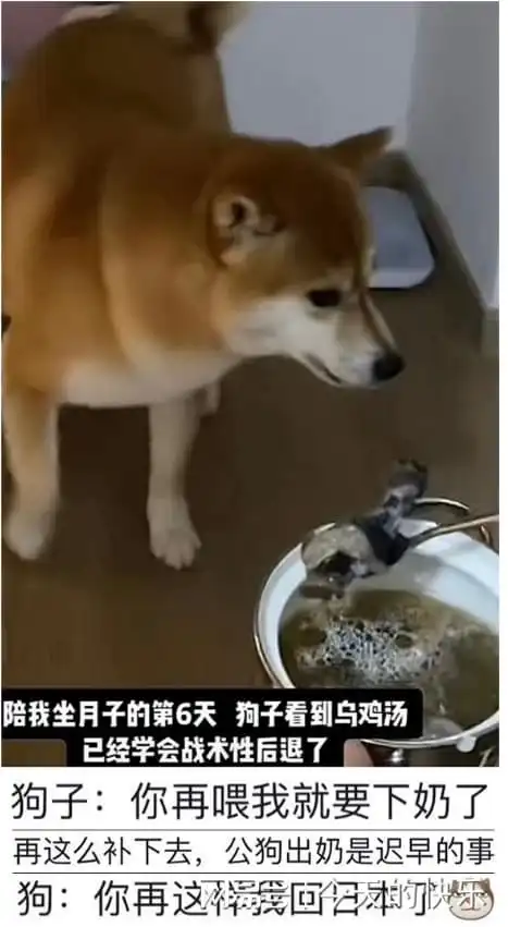 搞笑图片第601期买件衣服没成想还能一边装瓜子糖,一边放奶茶