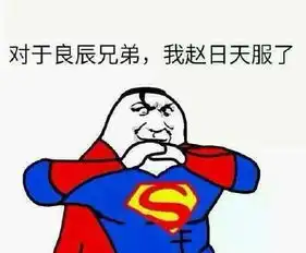 叶良辰竟是西安人我叫叶良辰走红资料语录与表情包曝光
