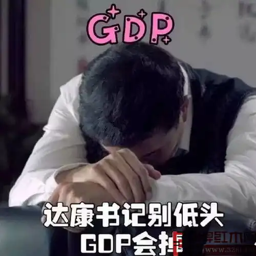 达康书记别低头,gdp红木人来帮你守护
