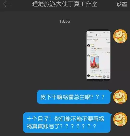 丁真不灵了推广新手机惹争议,回复雷军白眼表情,被骂后才修改