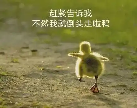 抖音最火的小黄鸭,原来它一直在看这个......