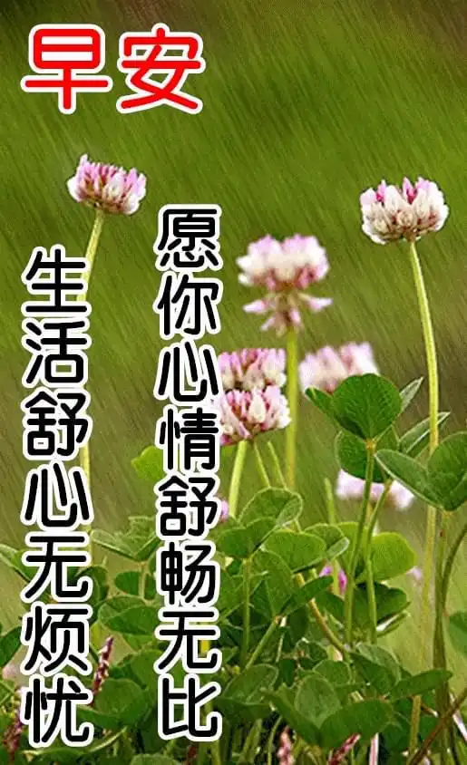 周三早上好问候祝福动态表情图片,星期三早安加油