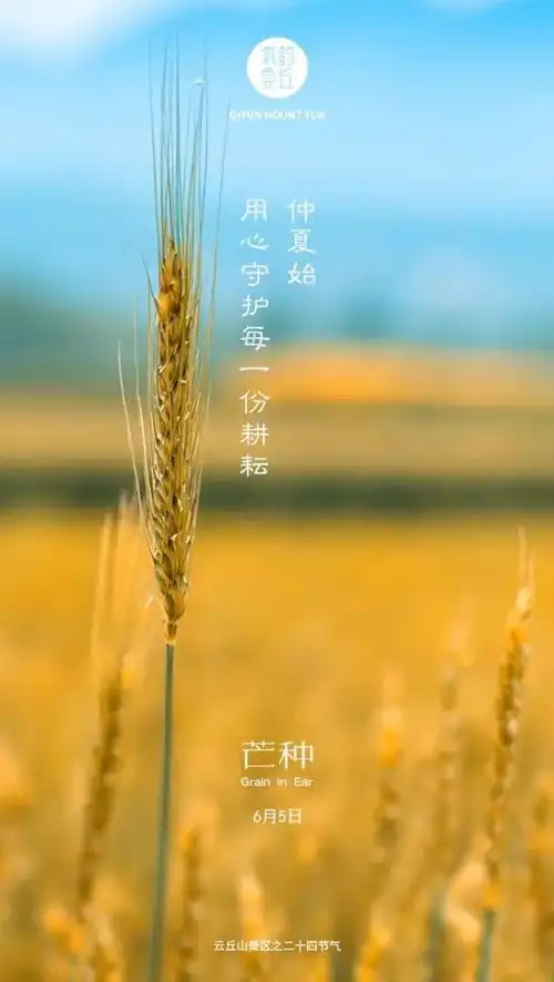 云丘山已为您收割了丰收的喜悦资讯攻略