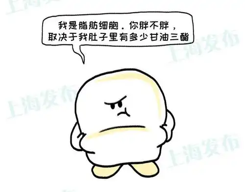 癌细胞爱胖子转给脂肪看看