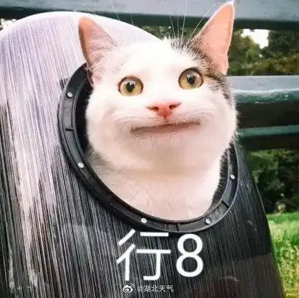 在厚厚的云被遮盖下,10时鄂西大部气温在1617