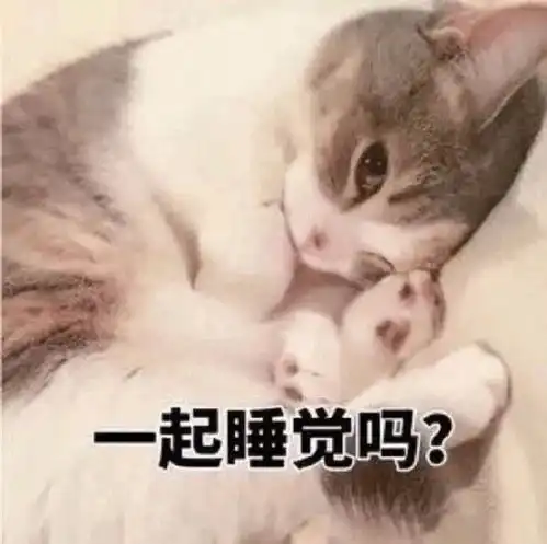 表情包我躺好了你来吧