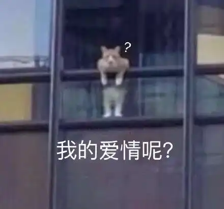 情人节适合单身狗发的文案