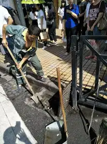 卷起袖子搞卫生北京街周边已出现登革热病例,携带病毒的蚊子就在附近