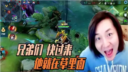 张大仙这个人躲在草里被我咬住了队友你怎么对着空气放大招