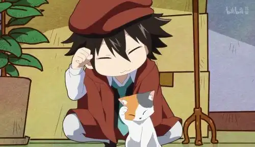 文豪野犬养猫猫,买奶牛的武装侦探社成员,这是一群什么大可爱