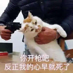 看到朋友第一次给我做的饭,我哭了