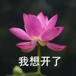 雅思备考状态大分析你是这样的吗