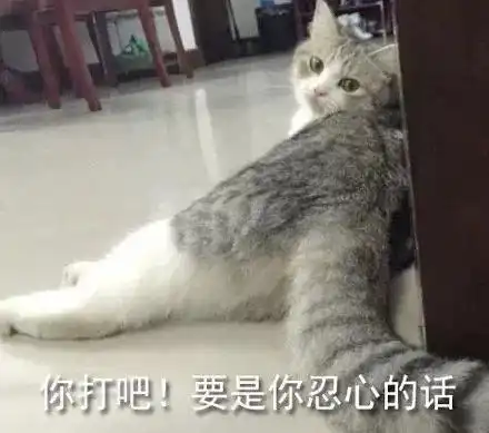 搞笑表情包为我的莽撞自罚一杯