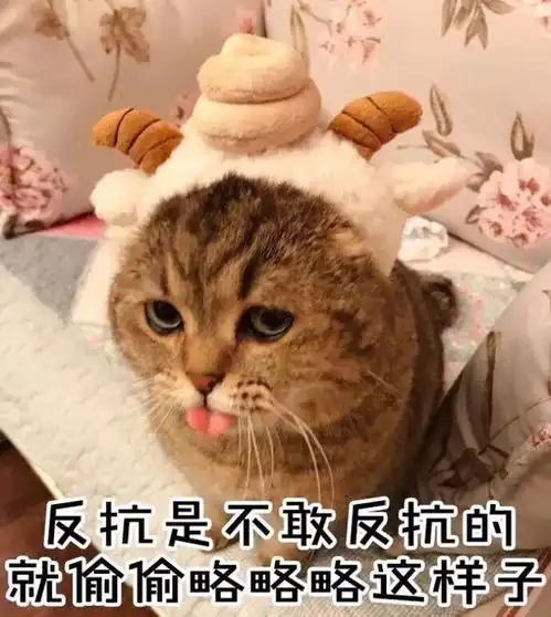 吐槽老板手滑发到了工作群,老板竟然回复了....