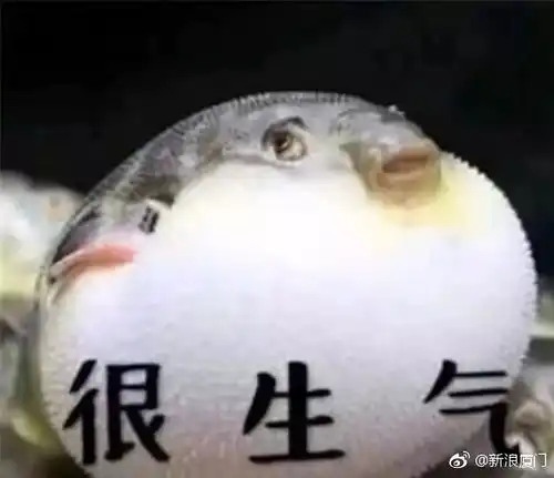 2018年7月21日厦门夜宵新闻
