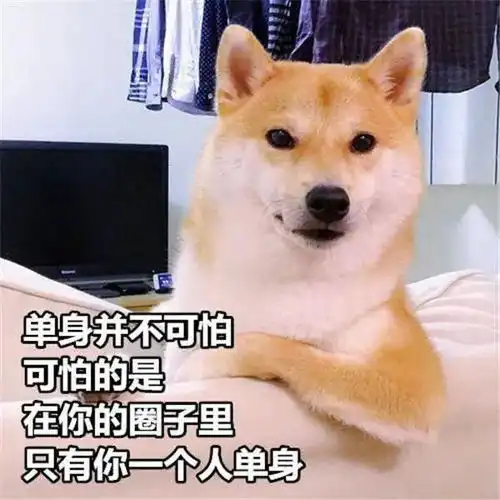 情人节单身人士不完全生存指南