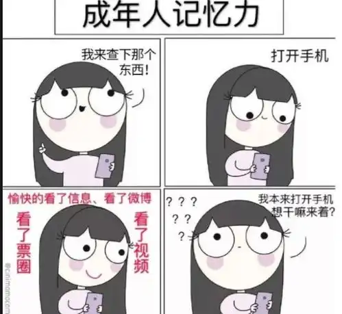 每次看阿三的仪仗队都感觉很搞笑