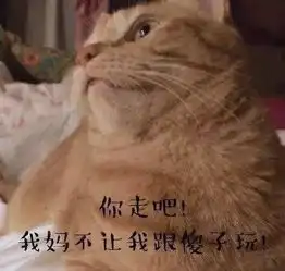 在你沉迷于斗图时,这个高中生居然发了一篇表情包论文