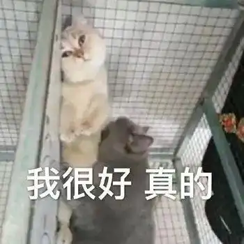 有哪些让人看完秒收藏的沙雕朋友圈文案