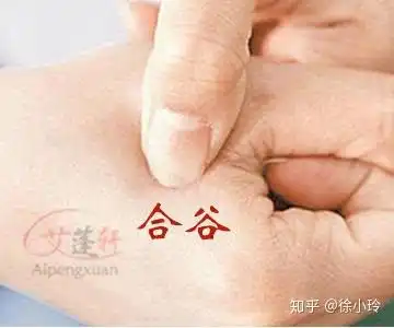 参照8句穴位顺口溜,自己动手调疾病