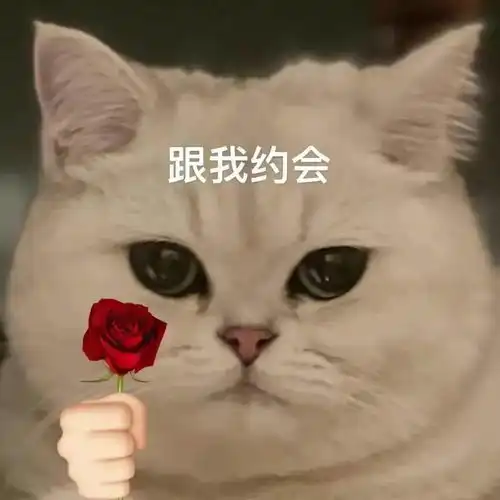 日常沙雕表情包i走带你出去溜溜