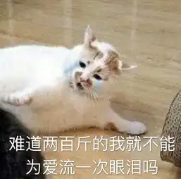 蛇精病啊你们高兴起来连自己家乡都黑