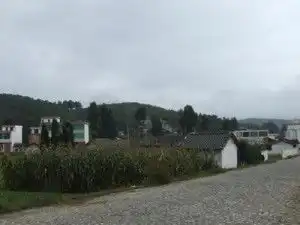 窝坡村