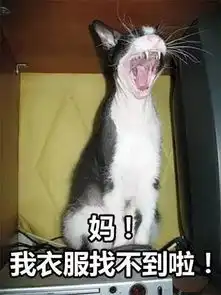 您儿女小时候的表情包,请您务必发给他她