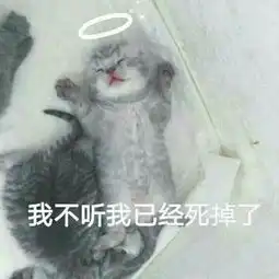 你做过最尴尬的事情是什么