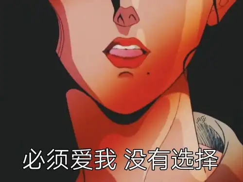 渣女表情包别爱我,没结果